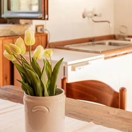 Il Giardino Segreto Apartment *